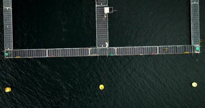 Aquaculture Pen System Used For Cultivating Halibut - Halibut Fish Farm In Hjelmeland, Norway. - aerial shot