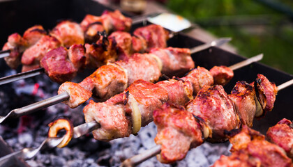 Juicy cuts of meat are grilled on grill. Outdoor recreation concept