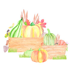 Hand drawn watercolor pumpkins berries and leaves in wooden boxes composition. Illustration isolated on white background. Can be used for postcard, label and other printed products.