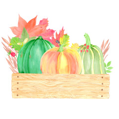 Hand drawn watercolor pumpkins berries and leaves in wooden box composition. Illustration isolated on white background. Can be used for postcard, label and other printed products.