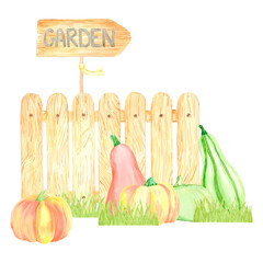 Hand drawn watercolor garden composition. Illustration of ripe pumpkins wooden fence and plaque isolated on white background. Can be used for postcard, label and other printed products.