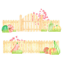 Hand drawn watercolor garden composition. Illustration of ripe pumpkins wooden fence gate and maple bush isolated on white background. Can be used for postcard, label and other printed products.