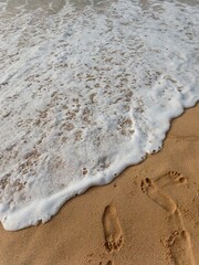 A serene tropical beach with soft sand, rocky formations, gentle blue waves, and a leaning tree by the shore. A natural coastal landscape perfect for themes of travel and nature.