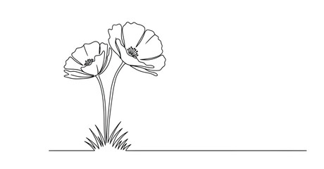 Simple line art drawing of two poppies in bloom