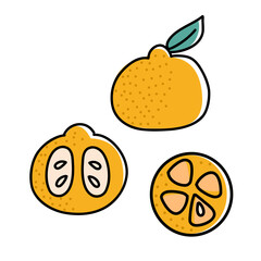 Mandarin fruit illustration with slices vector. Hand-drawn mandarin with whole fruit and slices perfect for food graphics, fresh citrus themes, winter designs, and seasonal vector illustrations.