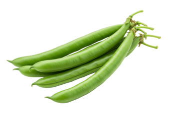 Isolated pile of fresh organic green beans, healthy and vegan food ingredients for cooking