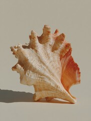 A close-up of a beautifully textured seashell against a soft backdrop, ideal for marine-themed designs, educational materials about ocean life, or decor elements