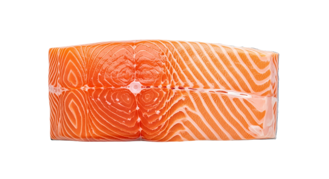 Fresh Salmon Fillet Cut Showing Texture and Color isolated on transparent background, png