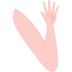 Human Arm And Hand With Open Fingers In Pale Pink Skin Tone And Transparent Background Health Healthcare Anatomy Body Part Medical Symbol