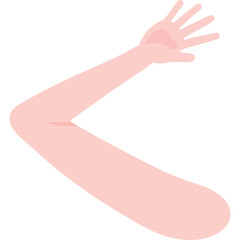 Human Arm With Open Hand And Pink Skin Tone In A Gentle Curve Against A Clean White Background Showing A Delicate Anatomy Of The Elbow Joint
