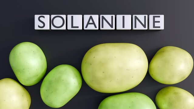 A 3d rendering of green and unripe potatoes and the word "SOLANINE" on white blocks. The potato has produced elevated levels of a natural toxin called Solanine.