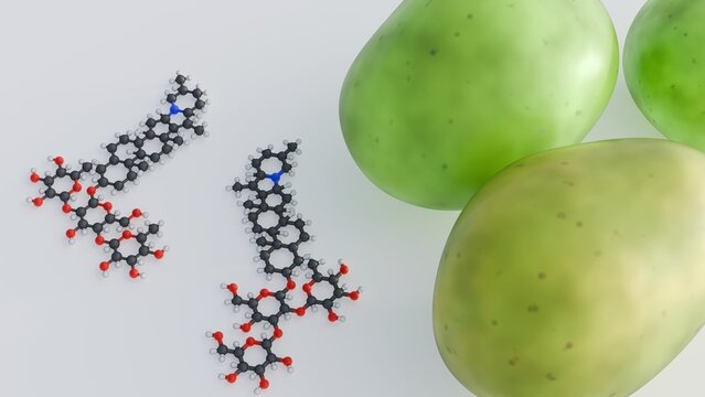 A 3D rendering of green, unripe potatoes featuring the complex molecular structure of solanine, intended to illustrate the chemical link between the potatoes' greening and their solanine content.