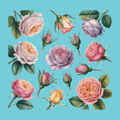 A vibrant flat vector illustration set of assorted blooming rose flower.
