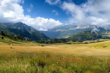 Obraz premium Scenic landscape showcasing vibrant wildflowers blanketing a plain beneath towering mountains under a summer sky