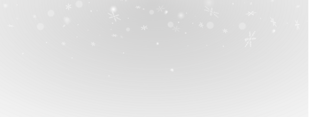 White Snowflake Illustration
