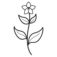 beardtongue flower line art on white background