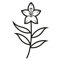 beardtongue flower line art on white background