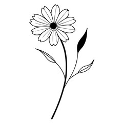 vector illustration of a coreopsis flower line art