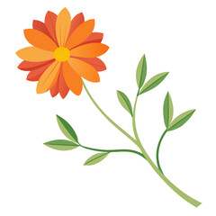 yellow flower isolated on white background, coreopsis flower isolated on white background