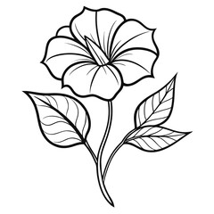 black and white flower