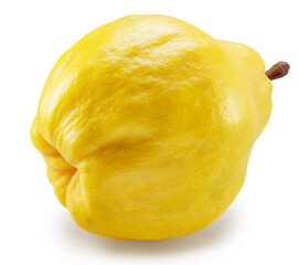 Side view of ripe apple quince on white background. File contains clipping path.