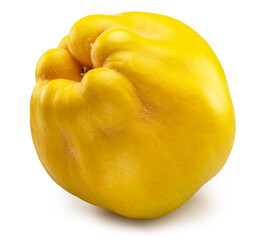 Bottom view of ripe apple quince on white background. File contains clipping path.