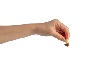 Small chocolate chip cookies in hand on transparent background