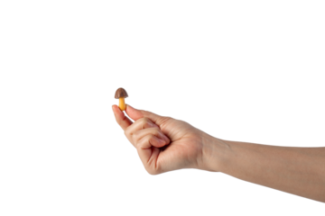 Small chocolate chip cookies in hand on transparent background