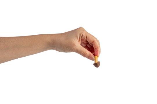 Small chocolate chip cookies in hand on transparent background