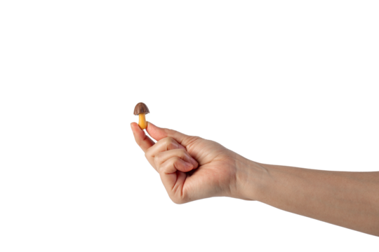 Small chocolate chip cookies in hand on transparent background