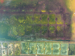 Vue aérienne sur les marais salants de Guérande, une zone de marais située sur le territoire des communes de Guérande, Batz-sur-Mer, Le Croisic et La Turballe, Loire Atlantique en France