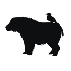 bear silhouette vector