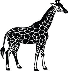Naklejka premium Stylized black and white illustration of a majestic giraffe with distinctive patterned coat standing tall