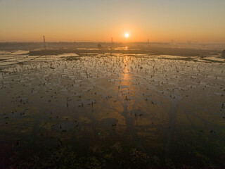 Aerial view of a tranquil watery expanse dotted with wooden posts under the golden glow of the rising sun, Mirzapur, Dhaka Division, Bangladesh.