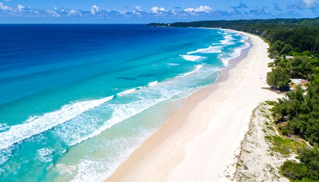 Aerial view of a stunning white sand beach meeting turquoise waters
