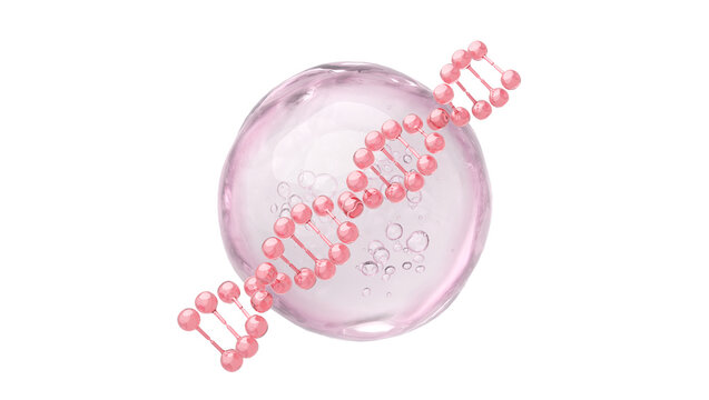 Pink DNA Helix and Bubble for PDRN Salmon DNA and Collagen Peptide