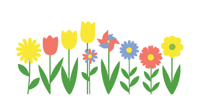 Colorful spring flowers in a row