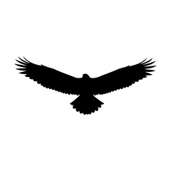 Silhouette of a flying eagle or hawk with outstretched wings from the back view.