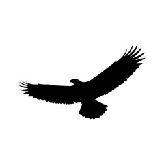 Silhouette of a flying eagle or hawk with massive wings in dynamic flight pose.