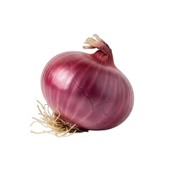 A Single Red Onion With Roots And A Dry Stem Isolated On A Black Background With Subtle Reflective Tones