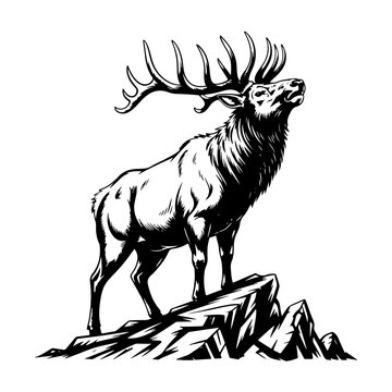 Silhouette of a elk or wapiti stag bugling on a rocky mountain peak.