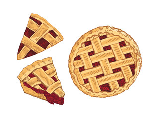 Hand drawn vintage sketch of cherry lattice pie and slices in color