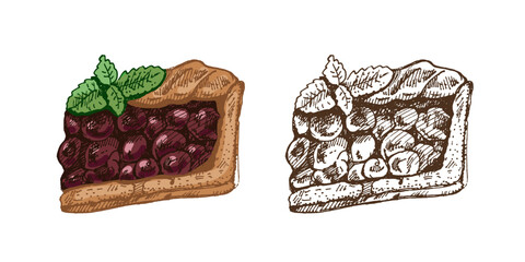 Hand drawn vintage sketch of cherry pie slice with mint leaves in color and monochrome, vector illustration