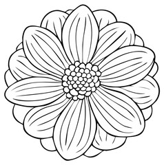 Stylized botanical flower line art drawing with radiating petals and textured center
