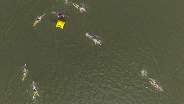 Cape Town, South Africa - 25 October 2025: Aerial view of swimmers cutting through murky water towards a bright yellow buoy, a stark contrast against the dark, olive-green expanse.