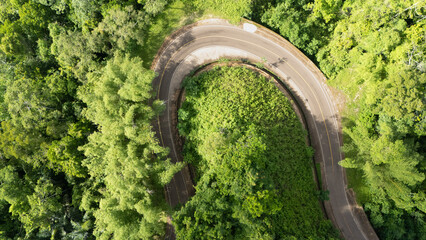 A winding road through the dense forest of Sumba, the main road connecting the regencies on Sumba Island