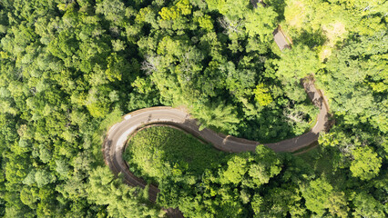 A winding road through the dense forest of Sumba, the main road connecting the regencies on Sumba Island