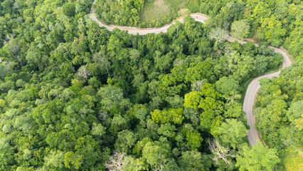 A winding road through the dense forest of Sumba, the main road connecting the regencies on Sumba Island