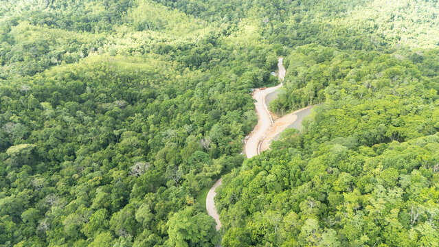 A winding road through the dense forest of Sumba, the main road connecting the regencies on Sumba Island