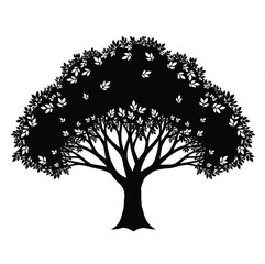 Tree with wide canopy